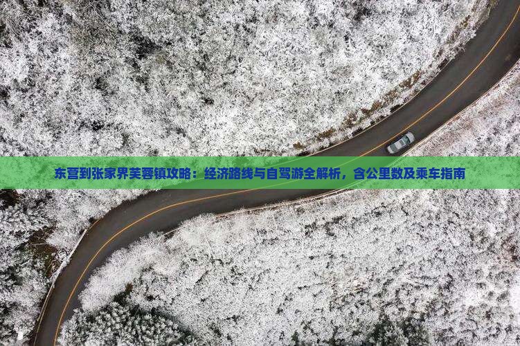 东营到张家界芙蓉镇攻略：经济路线与自驾游全解析，含公里数及乘车指南