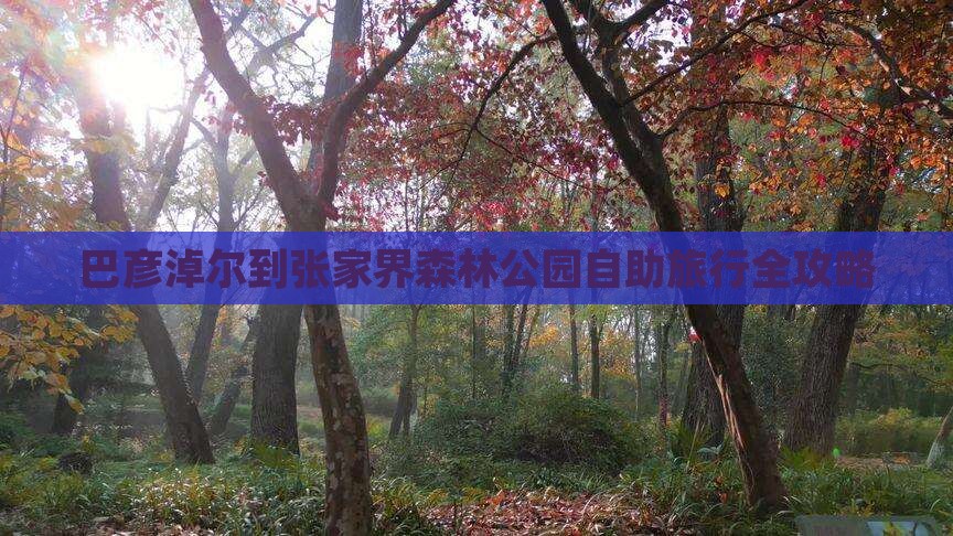 巴彦淖尔到张家界森林公园自助旅行全攻略