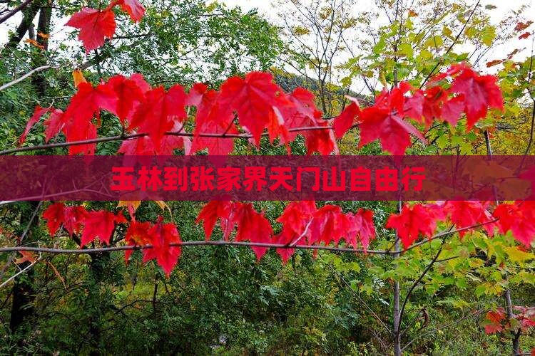 玉林到张家界天门山自由行