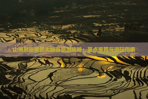 山南到张家界大峡谷旅游攻略：景点推荐与游玩指南