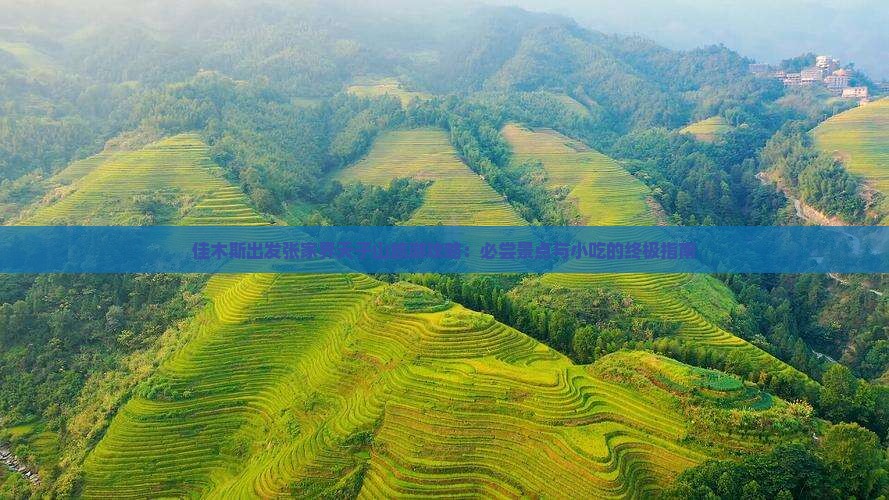 佳木斯出发张家界天子山旅游攻略:必尝景点与小吃的终极指南 佳木斯出发张家界天子山旅游攻略:必尝景点与小吃的终极指南