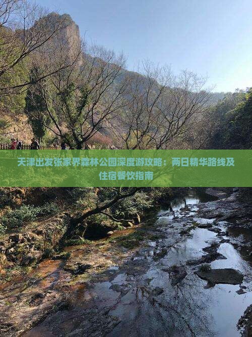 天津出发张家界森林公园深度游攻略：两日精华路线及住宿餐饮指南