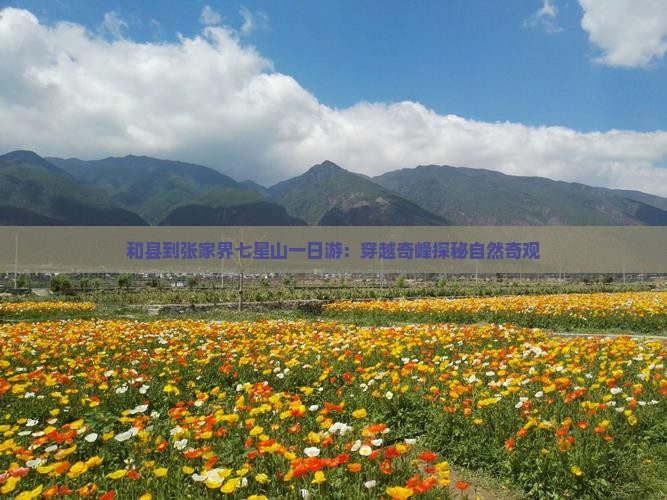 和县到张家界七星山一日游：穿越奇峰探秘自然奇观