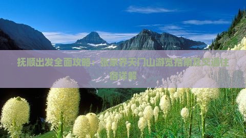 抚顺出发全面攻略：张家界天门山游览指南及交通住宿详解
