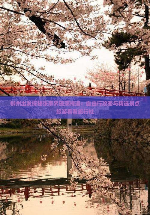 柳州出发探秘张家界玻璃栈道：自由行攻略与精选景点旅游看看旅行社
