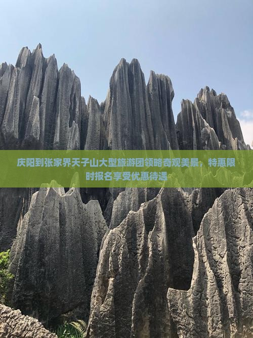 庆阳到张家界天子山大型旅游团领略奇观美景，特惠限时报名享受优惠待遇