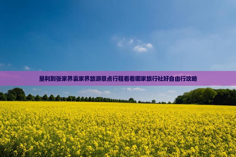 垦利到张家界袁家界旅游景点行程看看哪家旅行社好自由行攻略