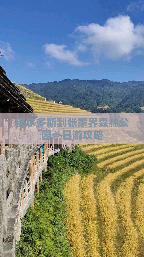 鄂尔多斯到张家界森林公园一日游攻略