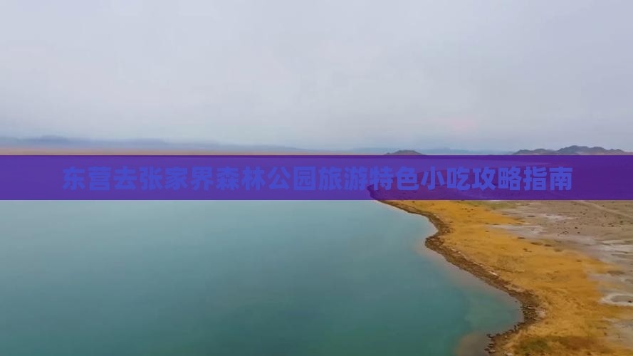 东营去张家界森林公园旅游特色小吃攻略指南