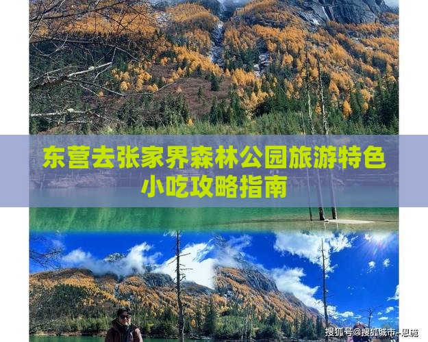 东营去张家界森林公园旅游特色小吃攻略指南