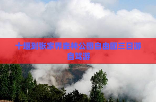 十堰到张家界森林公园自由团三日游自驾游