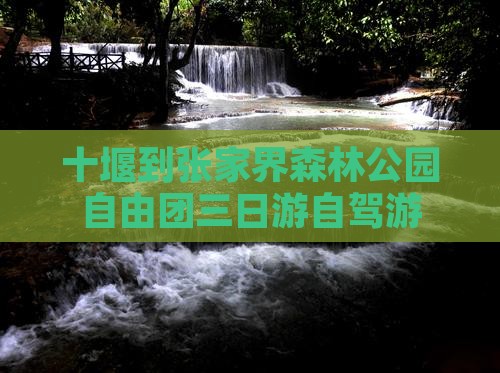 十堰到张家界森林公园自由团三日游自驾游