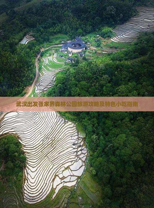 武汉出发张家界森林公园旅游攻略及特色小吃指南