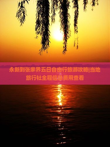永新到张家界五日自由行旅游攻略|当地旅行社全程信息费用查看