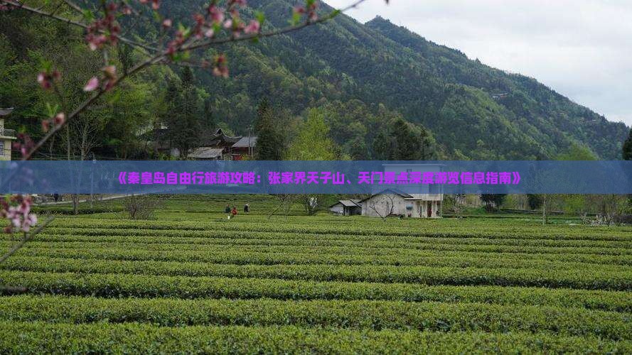 《秦皇岛自由行旅游攻略:张家界天子山、天门景点深度游览信息指南》 《秦皇岛自由行旅游攻略:张家界天子山、天门景点深度游览信息指南》