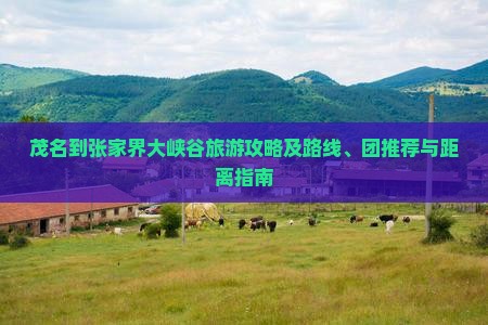 茂名到张家界大峡谷旅游攻略及路线、团推荐与距离指南