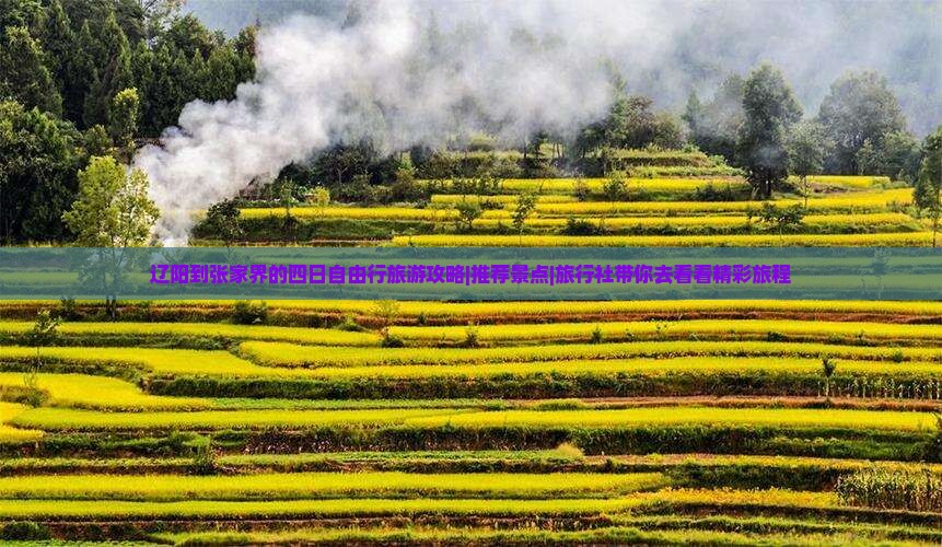 辽阳到张家界的四日自由行旅游攻略|推荐景点|旅行社带你去看看精彩旅程 辽阳到张家界的四日自由行旅游攻略|推荐景点|旅行社带你去看看精彩旅程