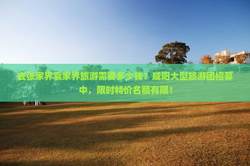 去张家界袁家界旅游需要多少钱？咸阳大型旅游团招募中，限时特价名额有限！