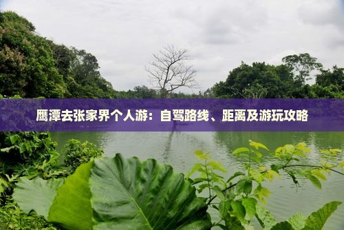 鹰潭去张家界个人游：自驾路线、距离及游玩攻略