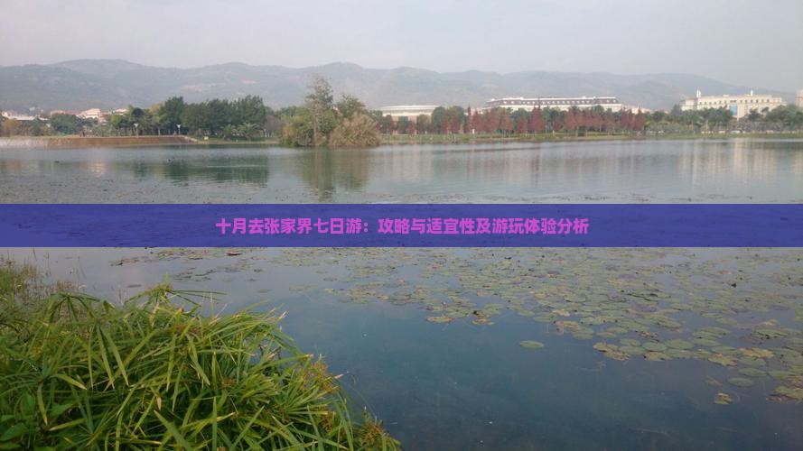 十月去张家界七日游：攻略与适宜性及游玩体验分析