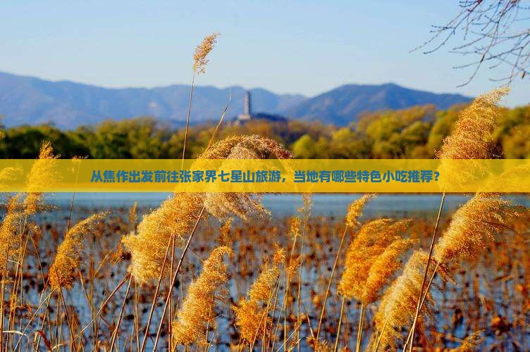 从焦作出发前往张家界七星山旅游，当地有哪些特色小吃推荐？