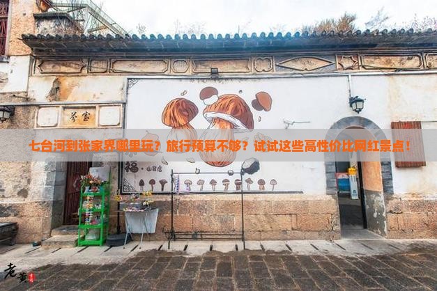 七台河到张家界哪里玩？旅行预算不够？试试这些高性价比网红景点！