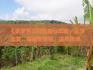 《张家界三日自由行攻略：云浮出发，探秘芙蓉镇，详尽路线、费用一览，旅行社专业推荐》