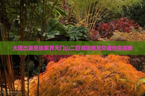 大理出发至张家界天门山二日游攻略及交通住宿指南