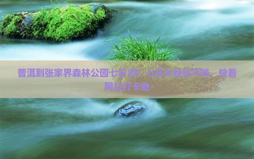 普洱到张家界森林公园七日游？七日太短玩不够，快看网红打卡地
