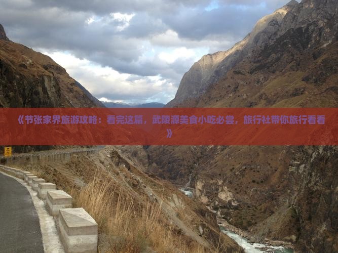 《节张家界旅游攻略：看完这篇，武陵源美食小吃必尝，旅行社带你旅行看看》