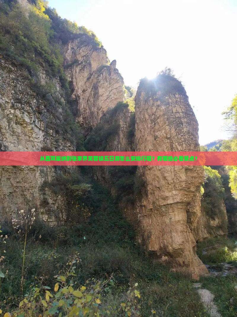 从西双版纳到张家界芙蓉镇五日游怎么安排行程？有哪些必看景点？