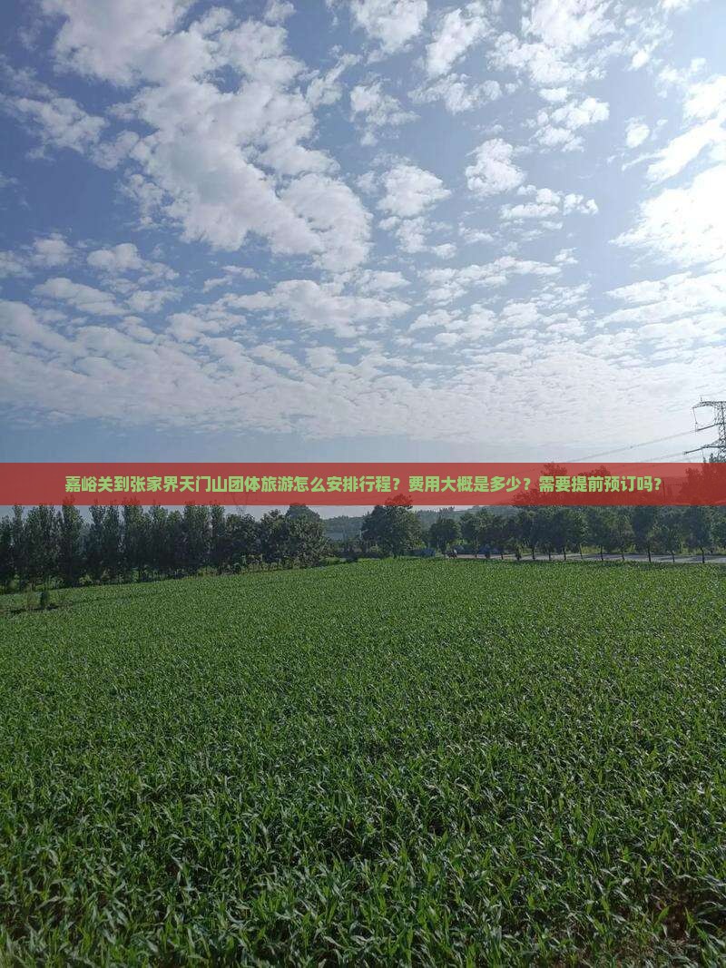 嘉峪关到张家界天门山团体旅游怎么安排行程？费用大概是多少？需要提前预订吗？