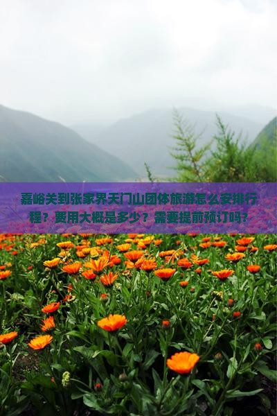 嘉峪关到张家界天门山团体旅游怎么安排行程？费用大概是多少？需要提前预订吗？