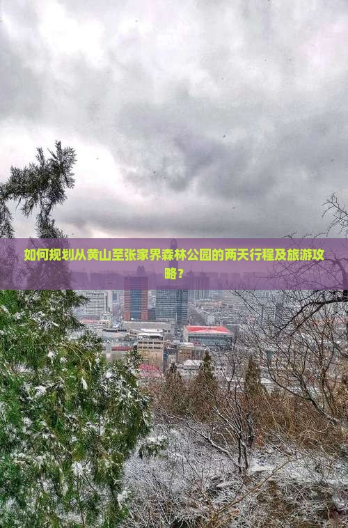 如何规划从黄山至张家界森林公园的两天行程及旅游攻略？