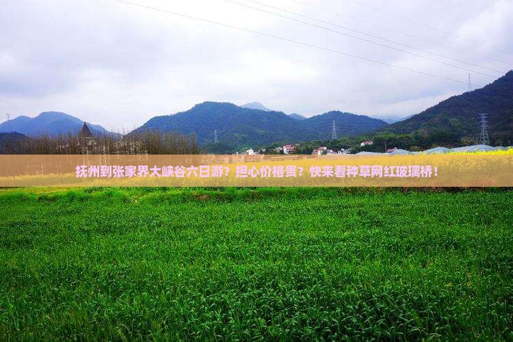抚州到张家界大峡谷六日游？担心价格贵？快来看种草网红玻璃桥！