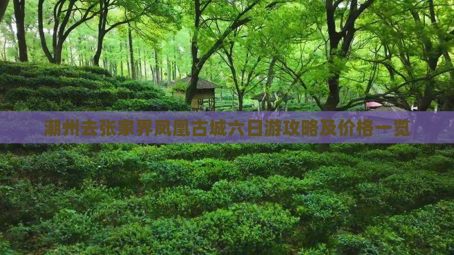 潮州去张家界凤凰古城六日游攻略及价格一览