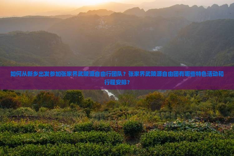如何从新乡出发参加张家界武陵源自由行团队？张家界武陵源自由团有哪些特色活动和行程安排？