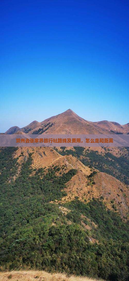 贺州去张家界旅行社路线及费用，怎么走和距离