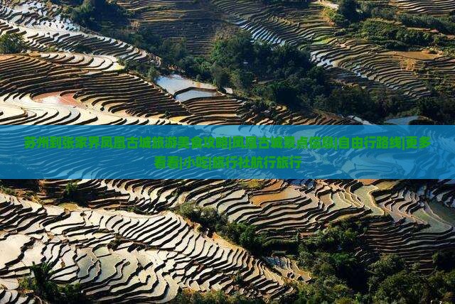 苏州到张家界凤凰古城旅游美食攻略|凤凰古城景点信息|自由行路线|更多看看|小吃|旅行社航行旅行