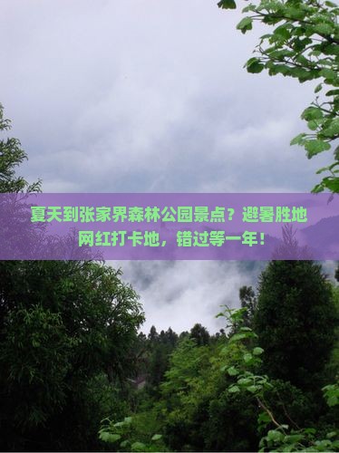 夏天到张家界森林公园景点？避暑胜地+网红打卡地，错过等一年！