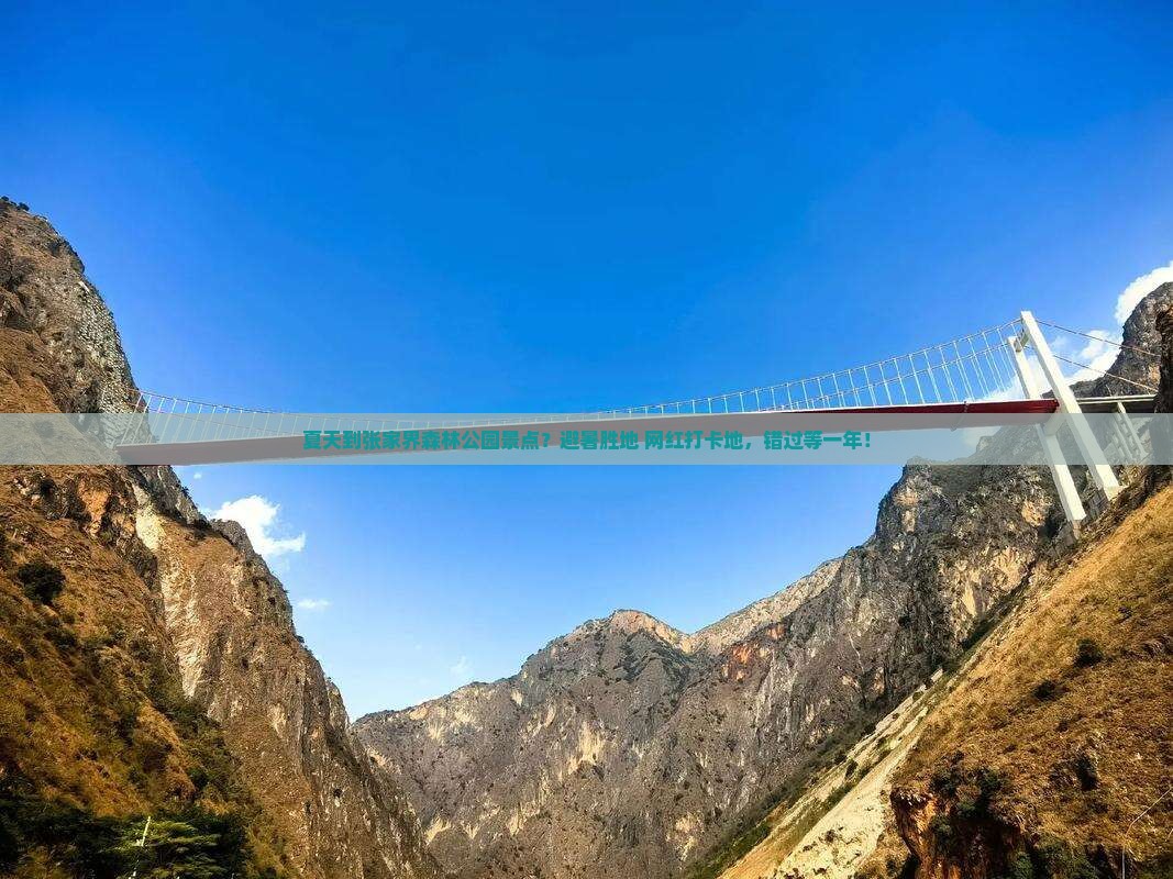 夏天到张家界森林公园景点？避暑胜地+网红打卡地，错过等一年！