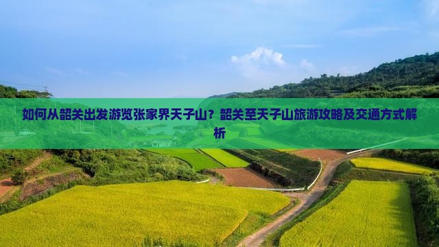 如何从韶关出发游览张家界天子山？韶关至天子山旅游攻略及交通方式解析