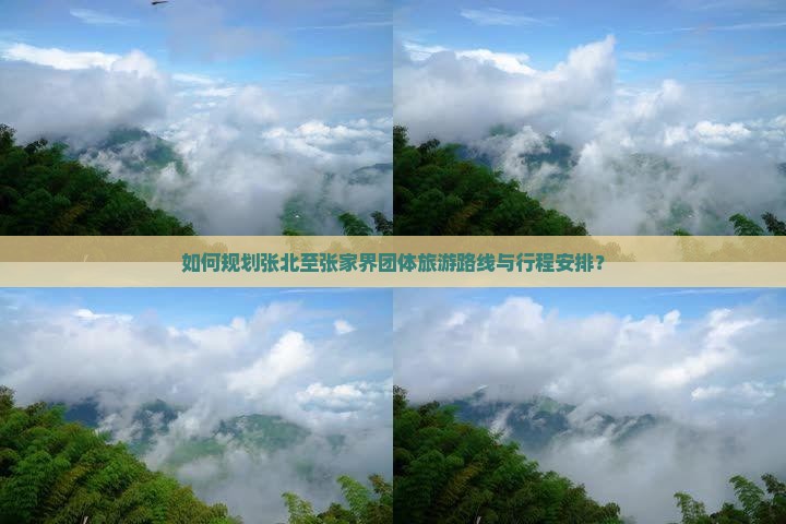如何规划张北至张家界团体旅游路线与行程安排？