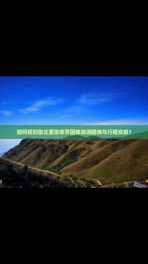 如何规划张北至张家界团体旅游路线与行程安排？