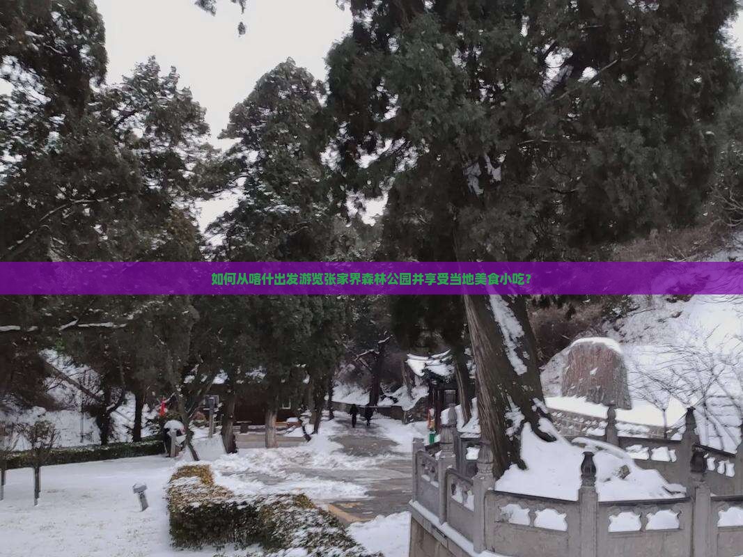 如何从喀什出发游览张家界森林公园并享受当地美食小吃？