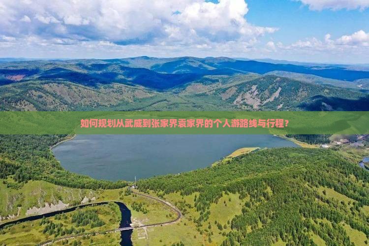 如何规划从武威到张家界袁家界的个人游路线与行程？