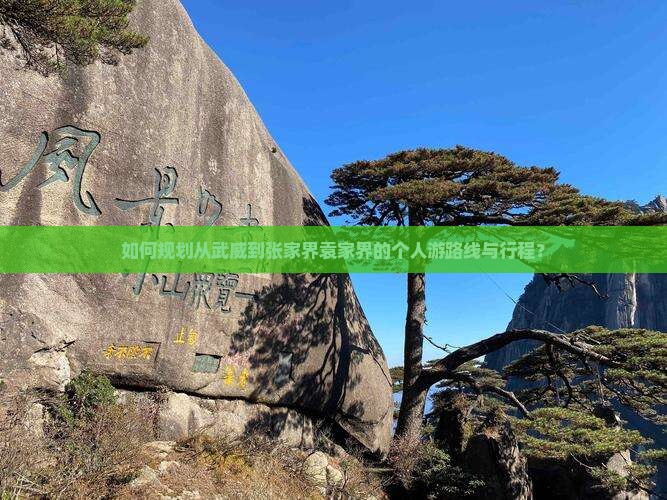如何规划从武威到张家界袁家界的个人游路线与行程？