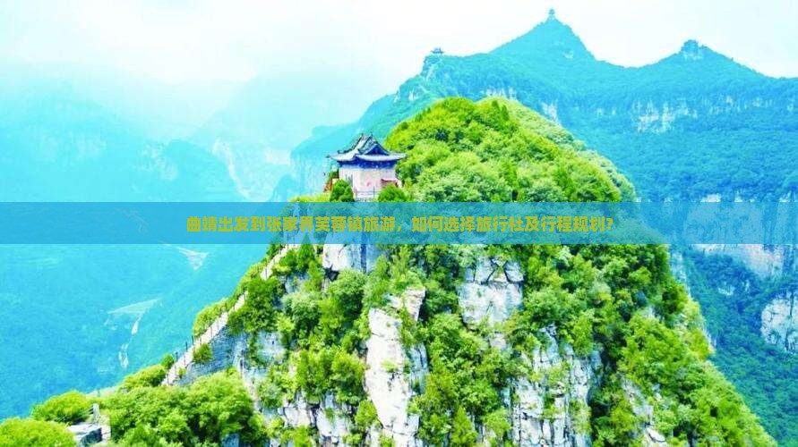 曲靖出发到张家界芙蓉镇旅游，如何选择旅行社及行程规划？