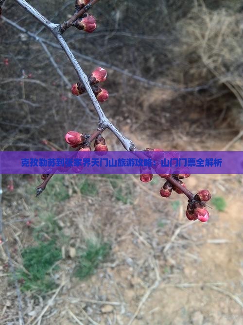 克孜勒苏到张家界天门山旅游攻略：山门门票全解析