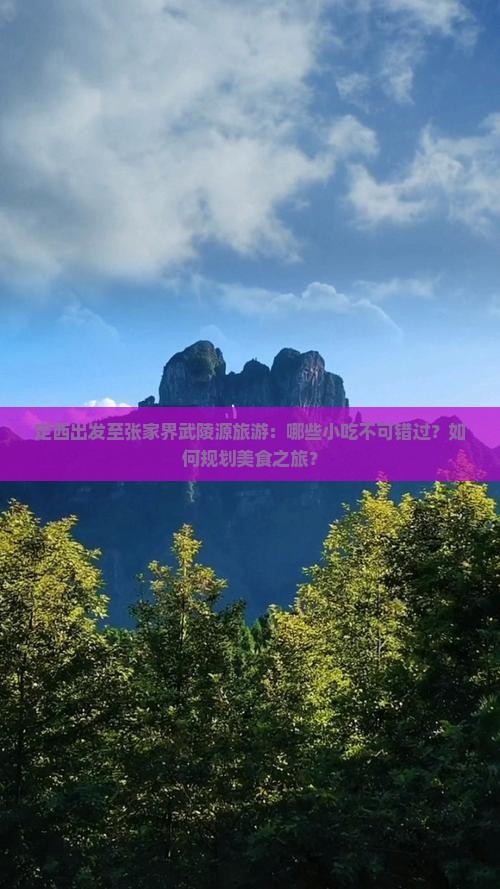 定西出发至张家界武陵源旅游：哪些小吃不可错过？如何规划美食之旅？